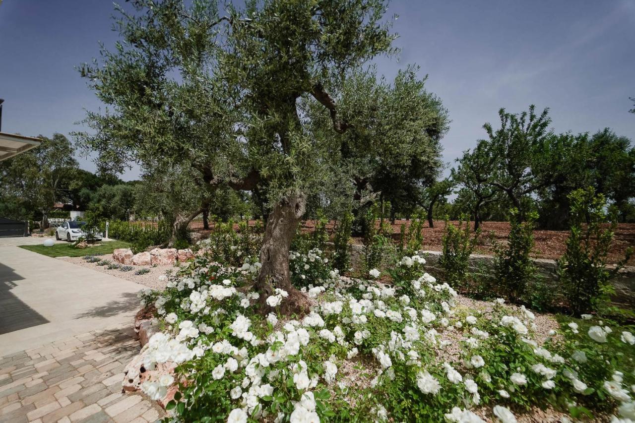 Bed and Breakfast ALMASOL - Charme Experience à Castellana Grotte Extérieur photo